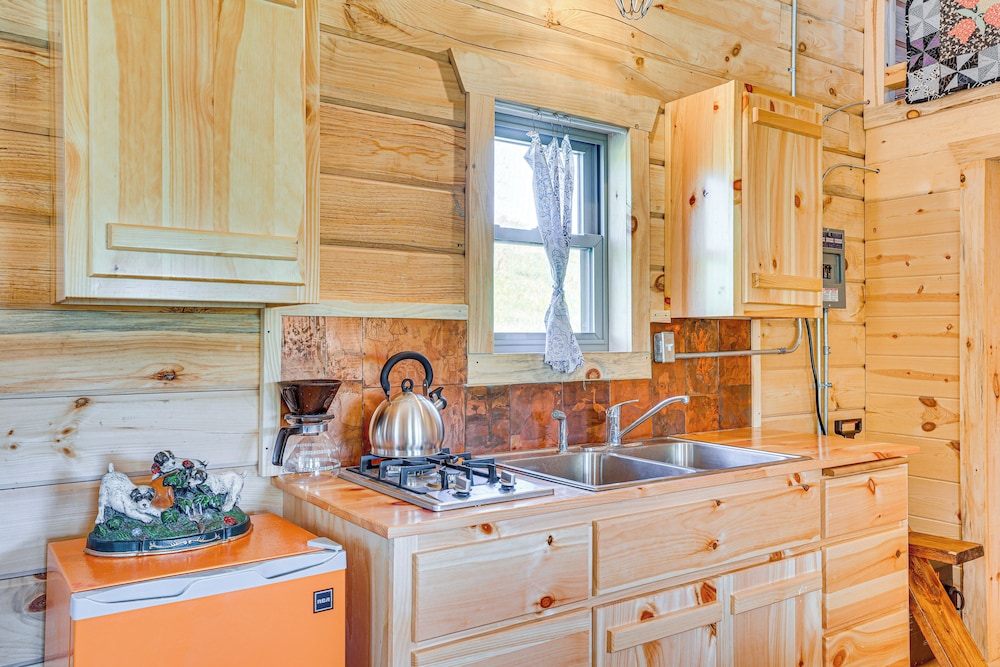 'fins & Flowers' Lewiston Cabin w/ Trout Fishing!