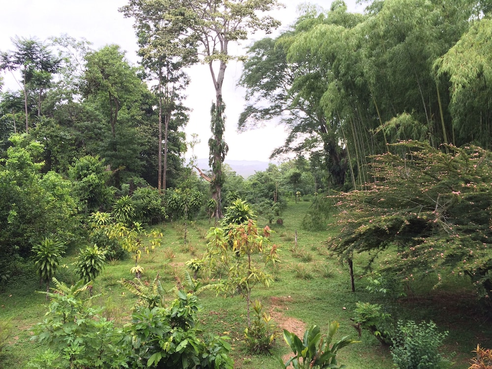 A Little Paradise
