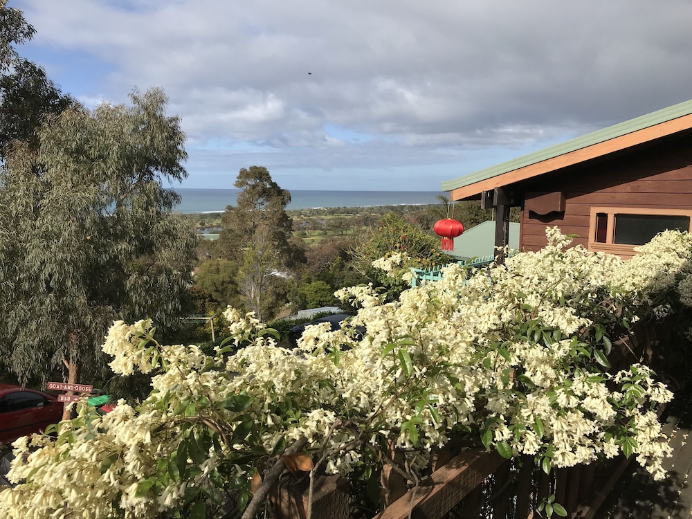 The Goat and Goose B&B