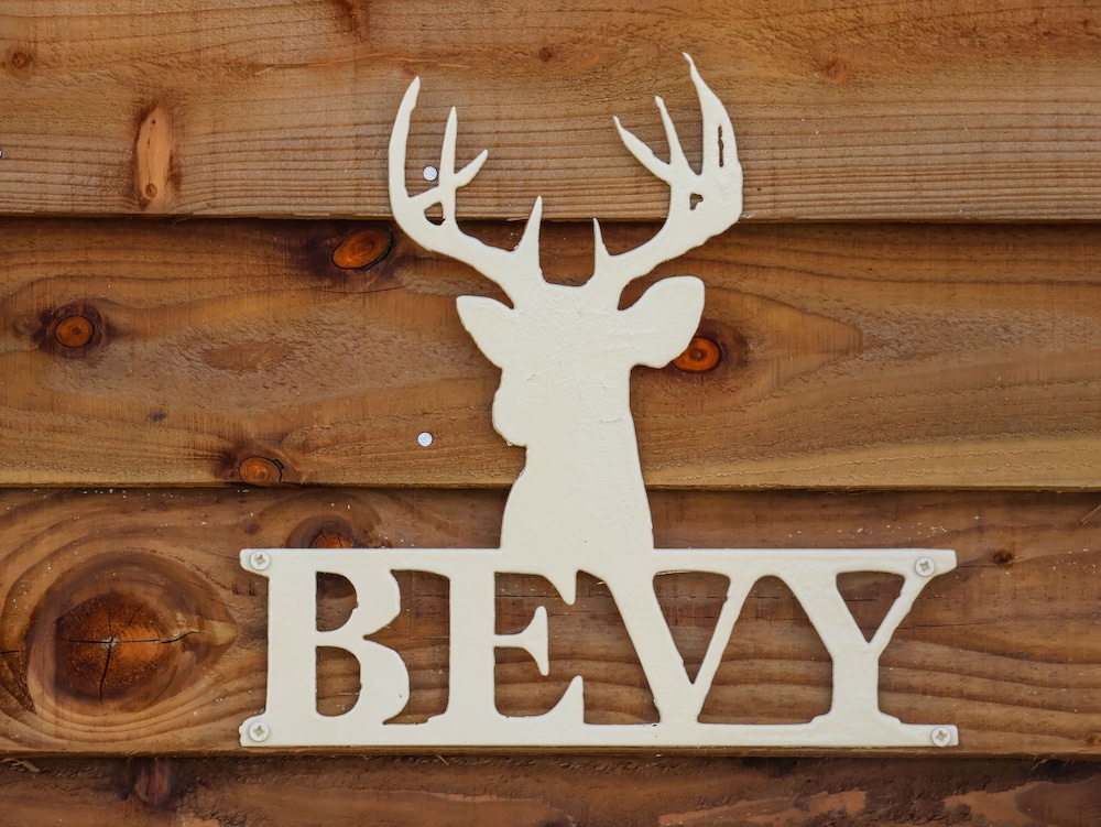 Bevy