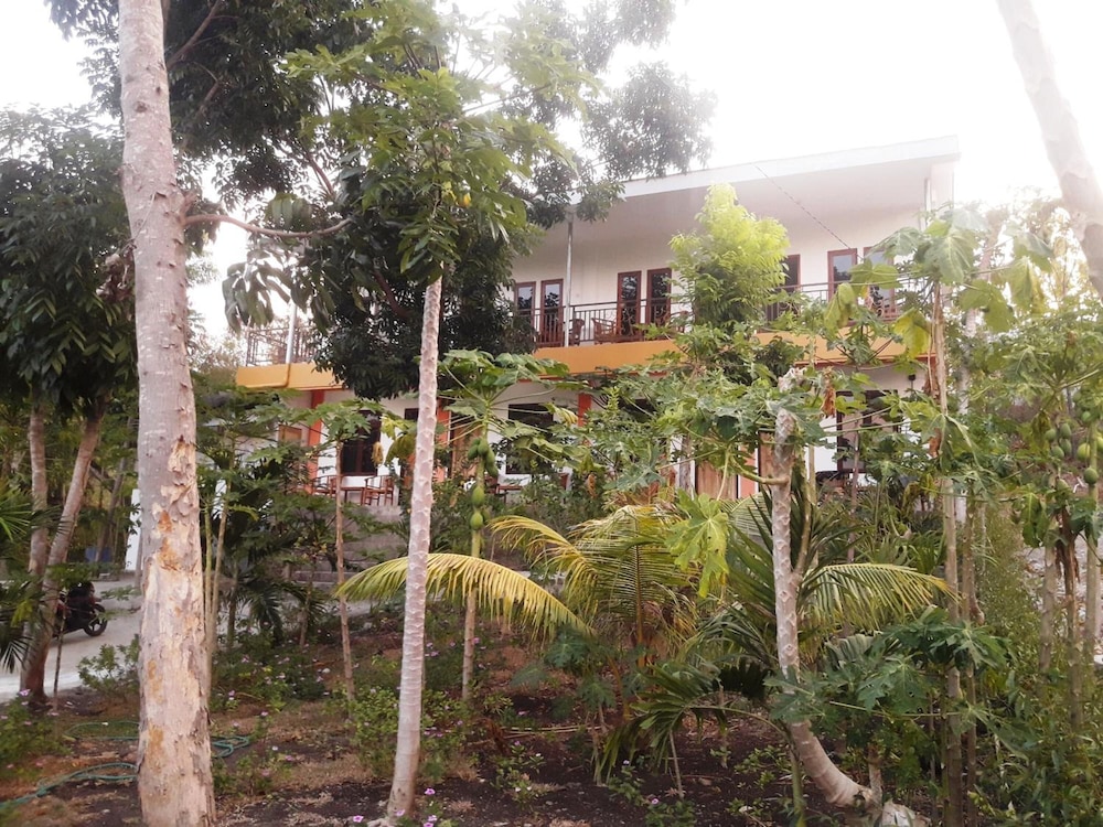 Photo 43