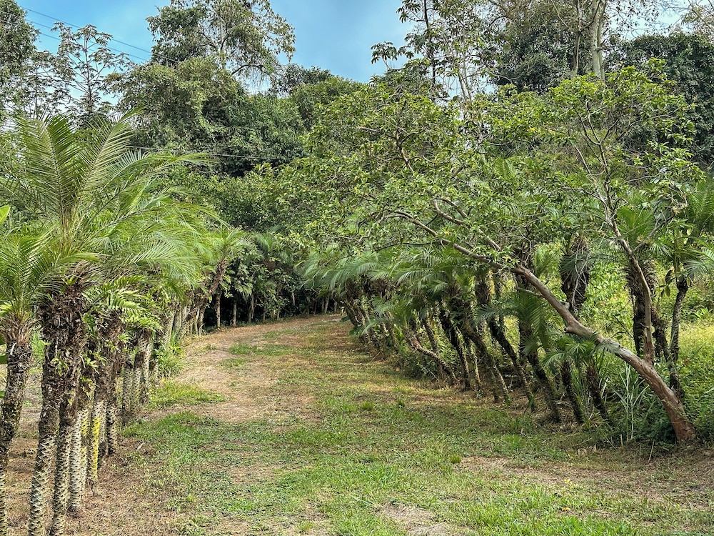 El Nido Andino