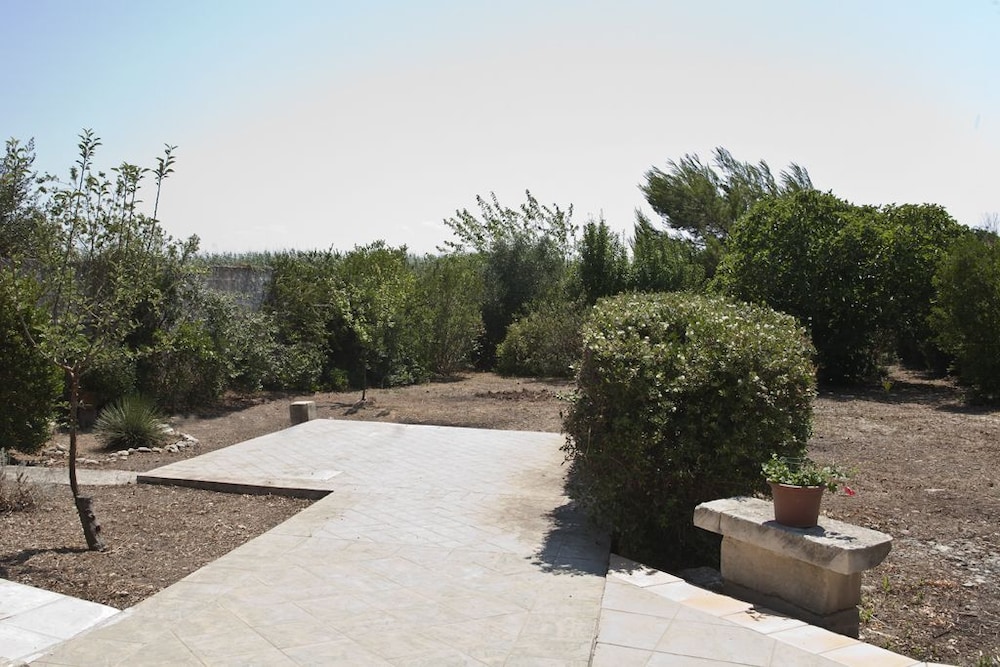 Photo 27