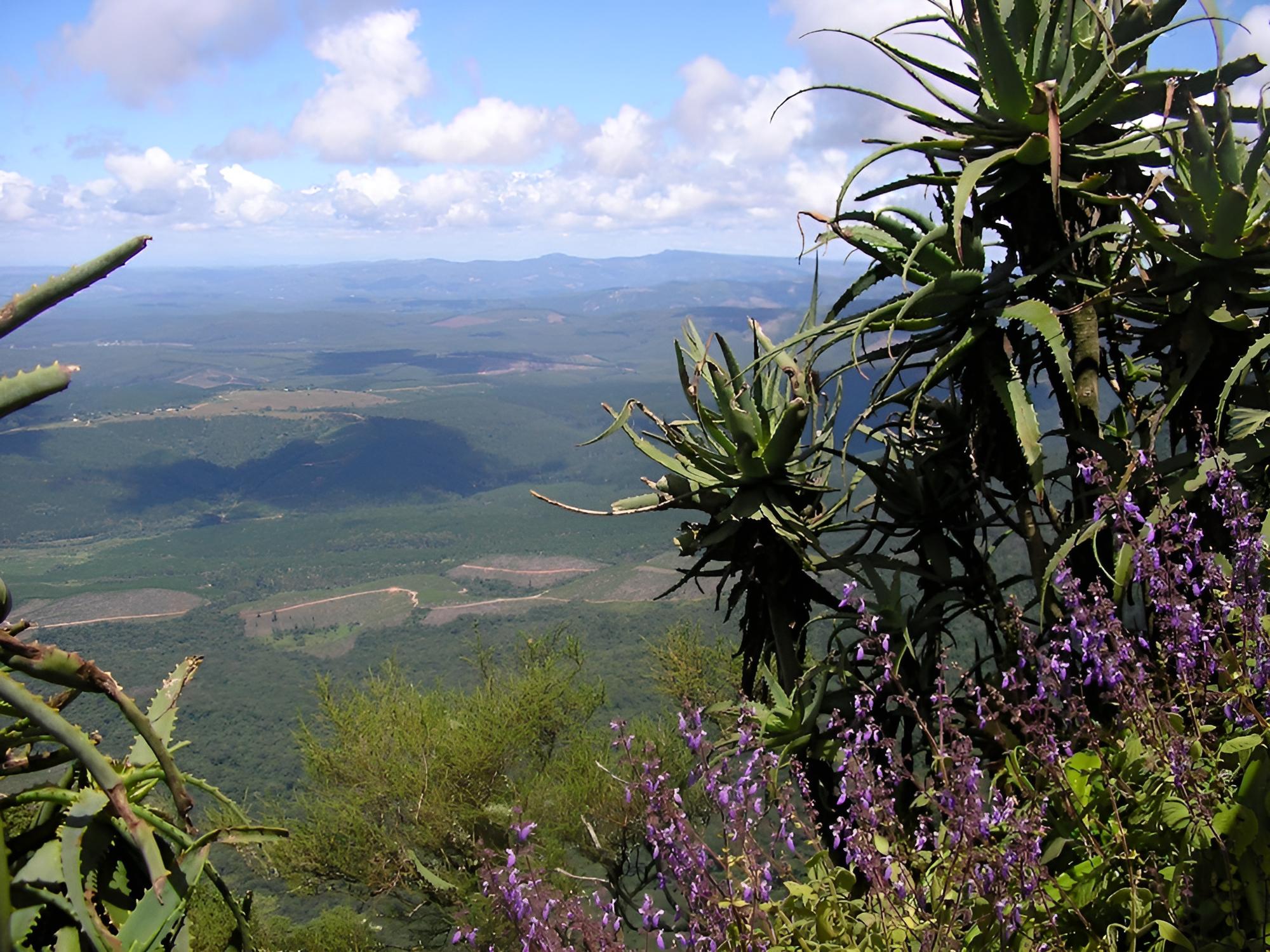 Amanzimloti Riverside Bush Camp