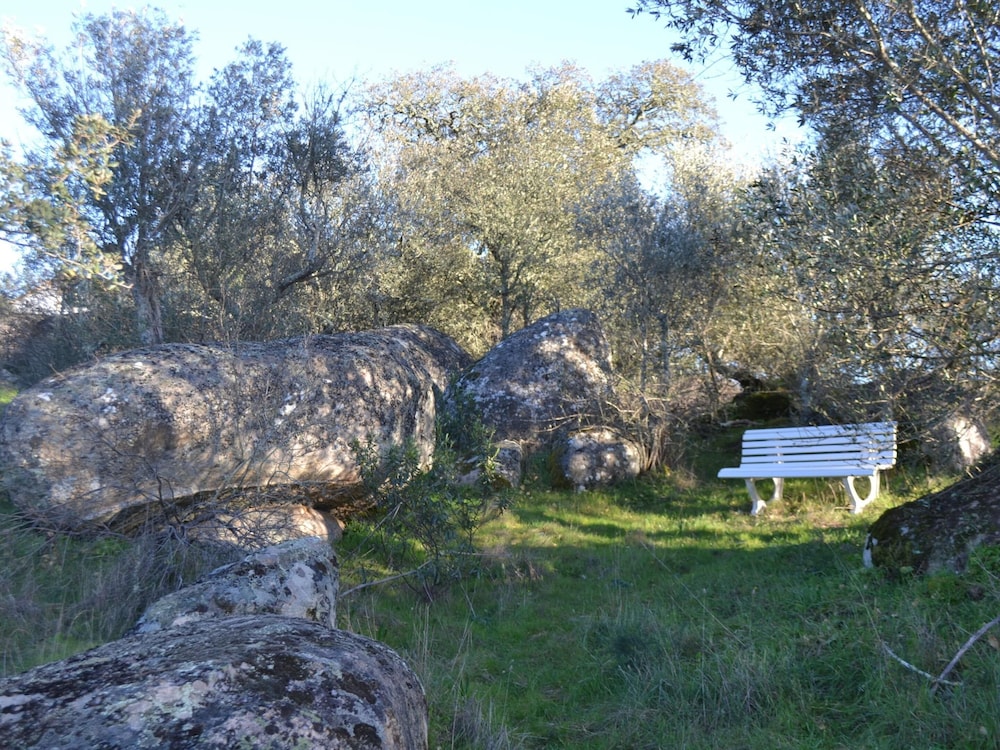 Photo 33