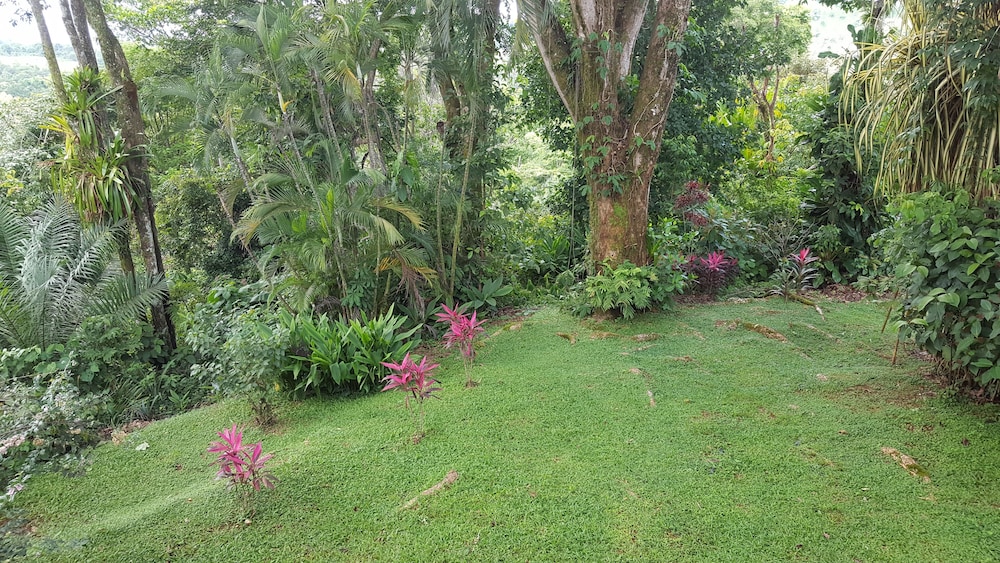 A Little Paradise