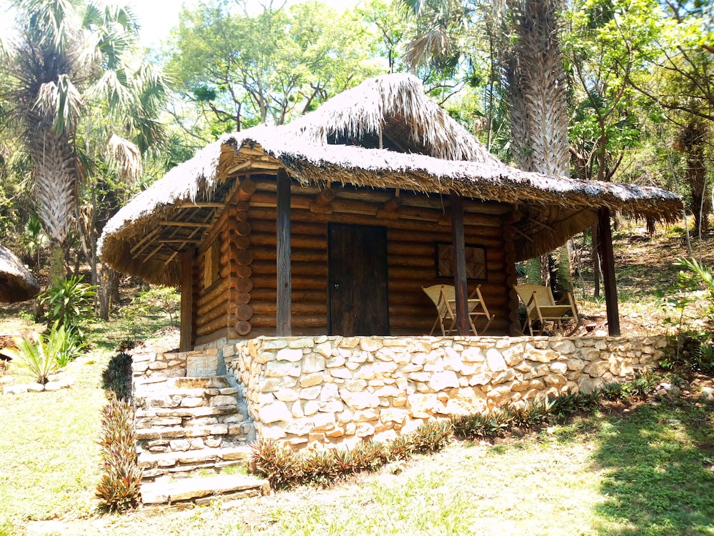 Photo 8