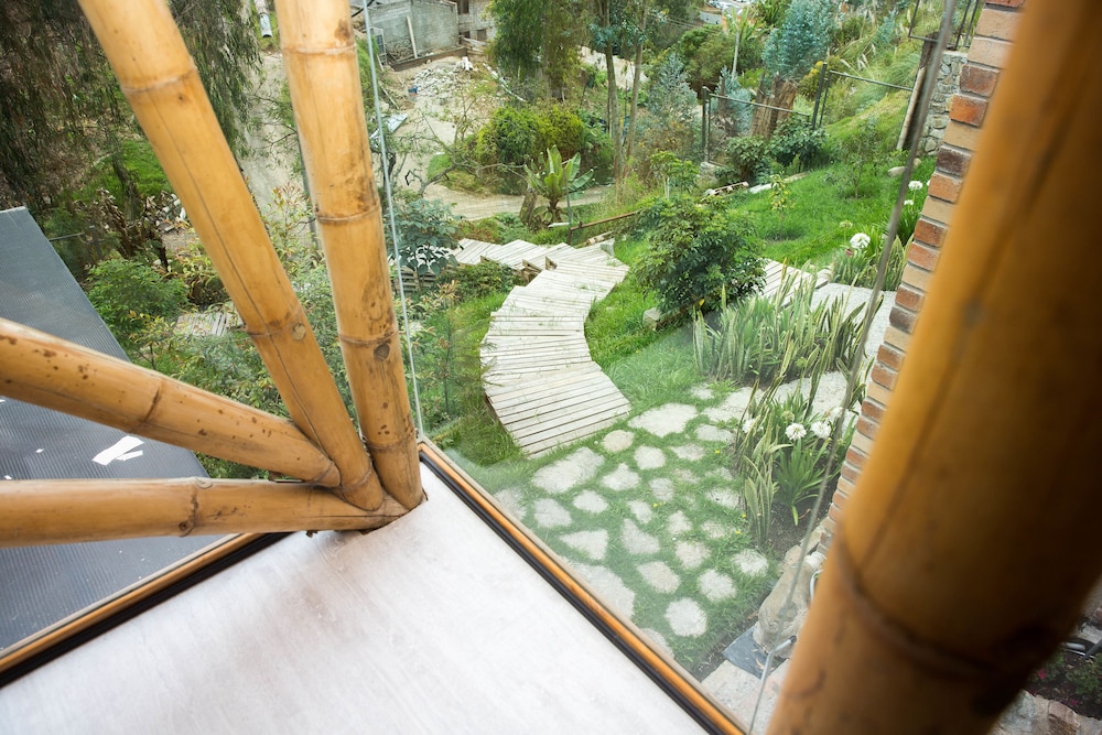 Bambu Sierra