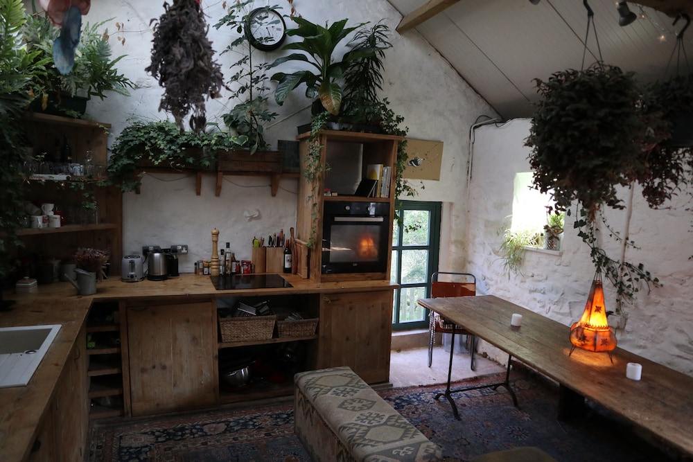 Hapus Yurt - Two Beautiful Yurts and Barn Cottage view 2