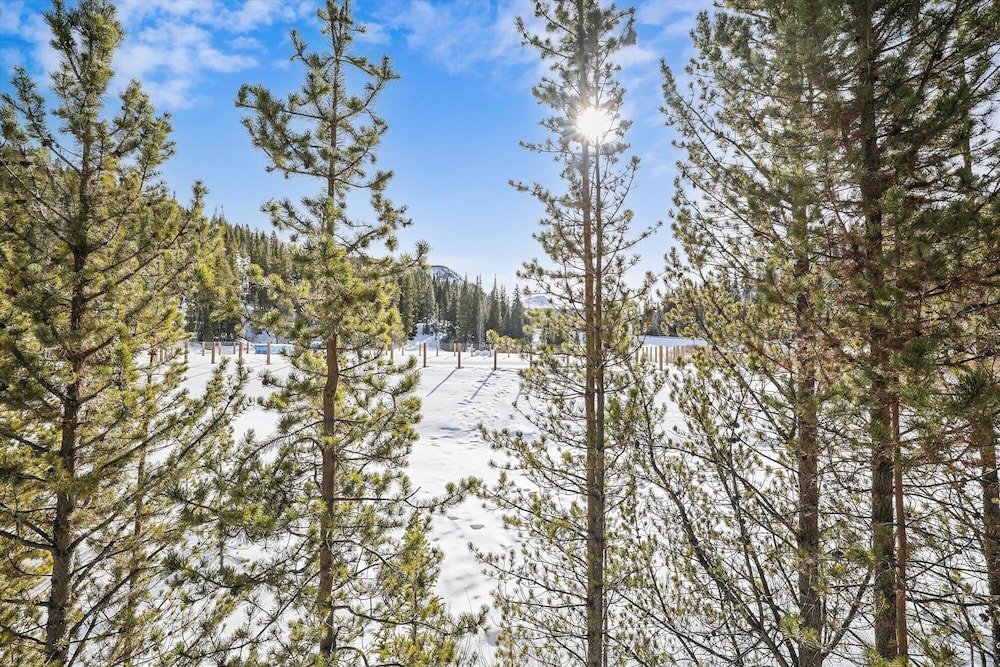The Beaver Lodge At Breckenridge 4 Bedroom Home