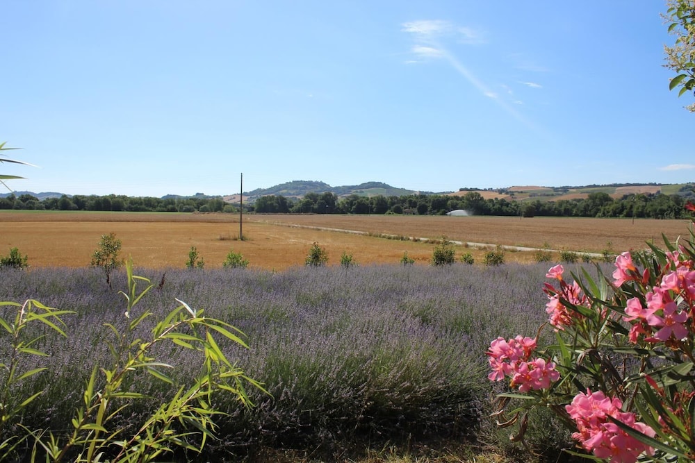 Agriturismo Bassarì
