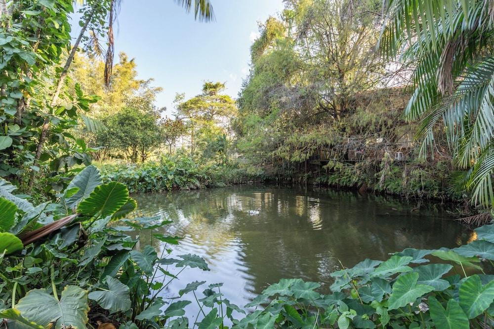 Casa de Campo c Lareira Externa Rede e Lago
