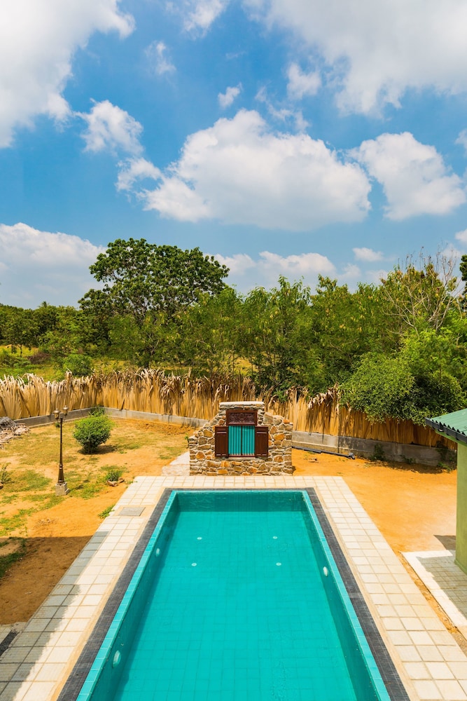 Forestville Yala