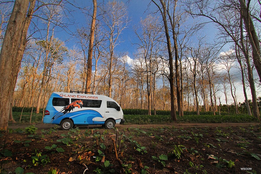 G-Land Joyo's Camp