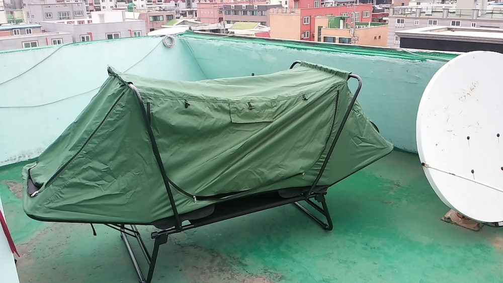 roof