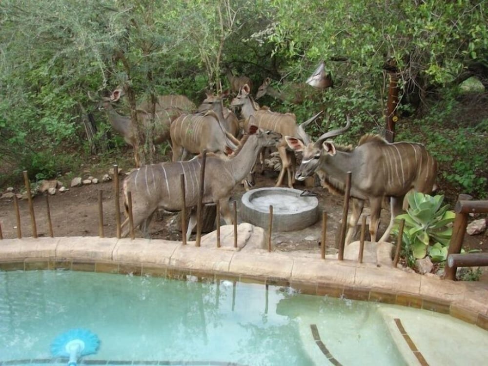 Marloth Kruger Accommodation