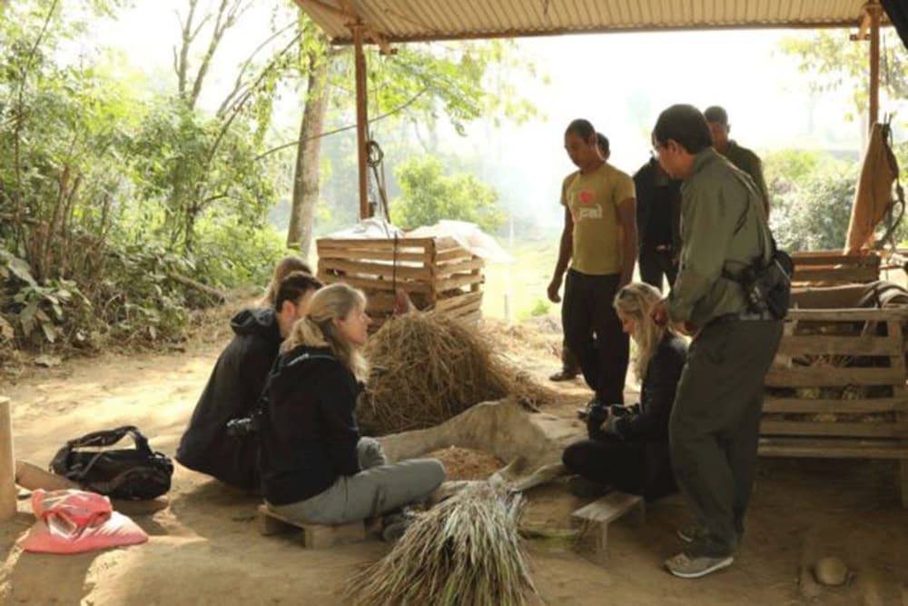 Tigertops Elephant Camp