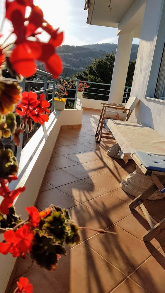 Hakuna Matata Hostel