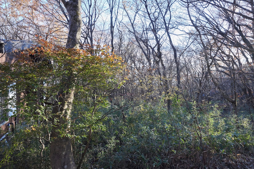 rinne 2nd living Nasu Creek