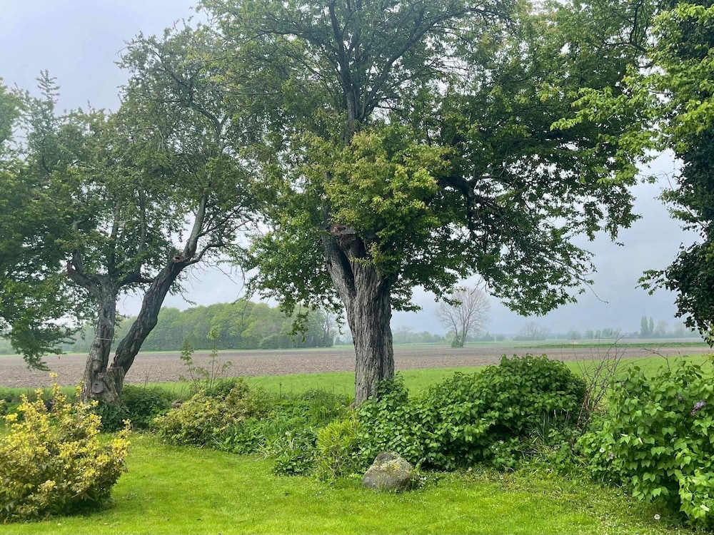 5 Star Holiday Home in Stokkemarke