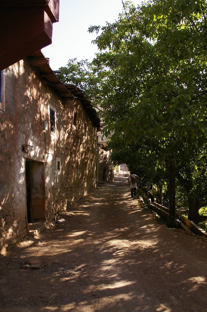 Photo 26