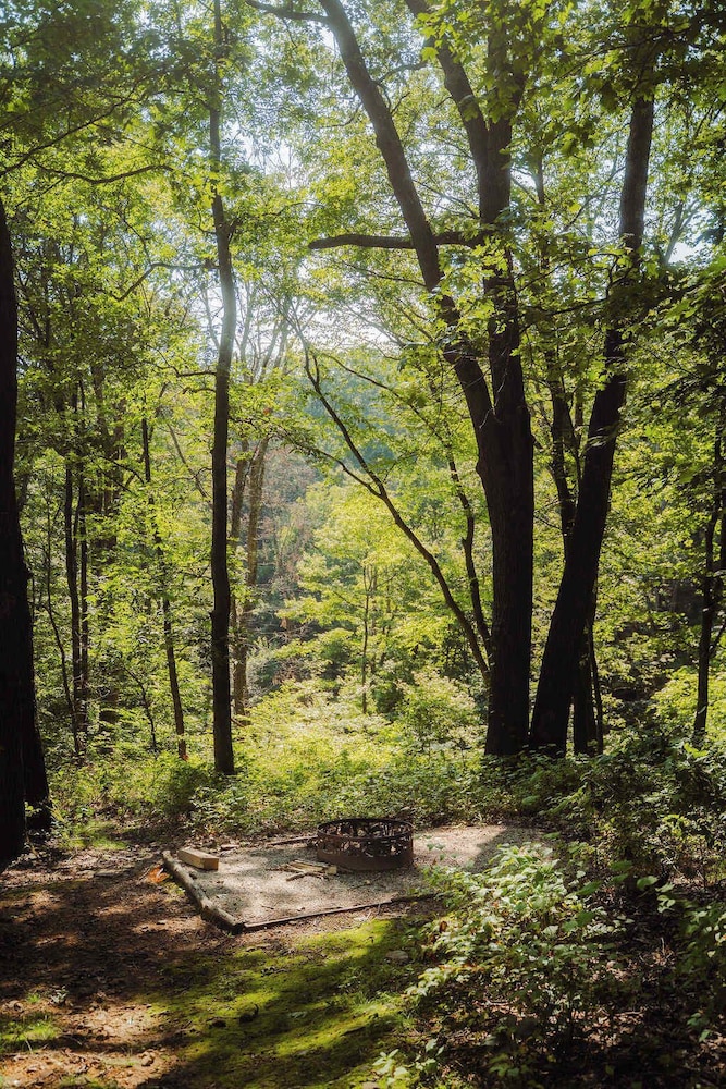 Cheerful Two Bdrm Cabin With Hot Tub & Pet Friendly