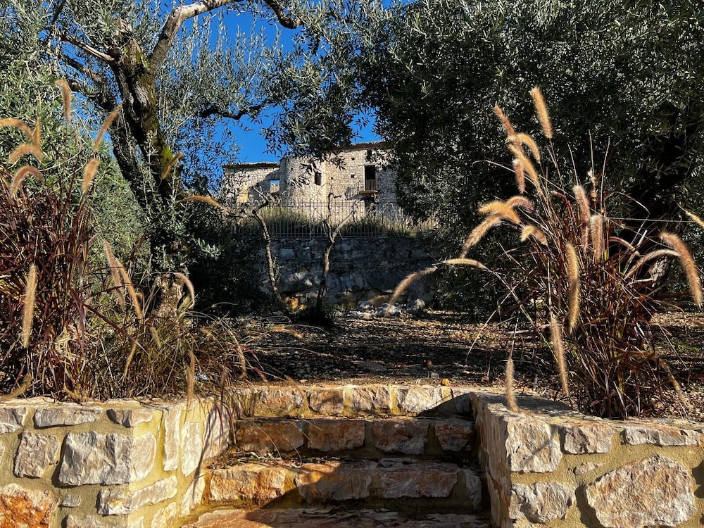 Photo 24
