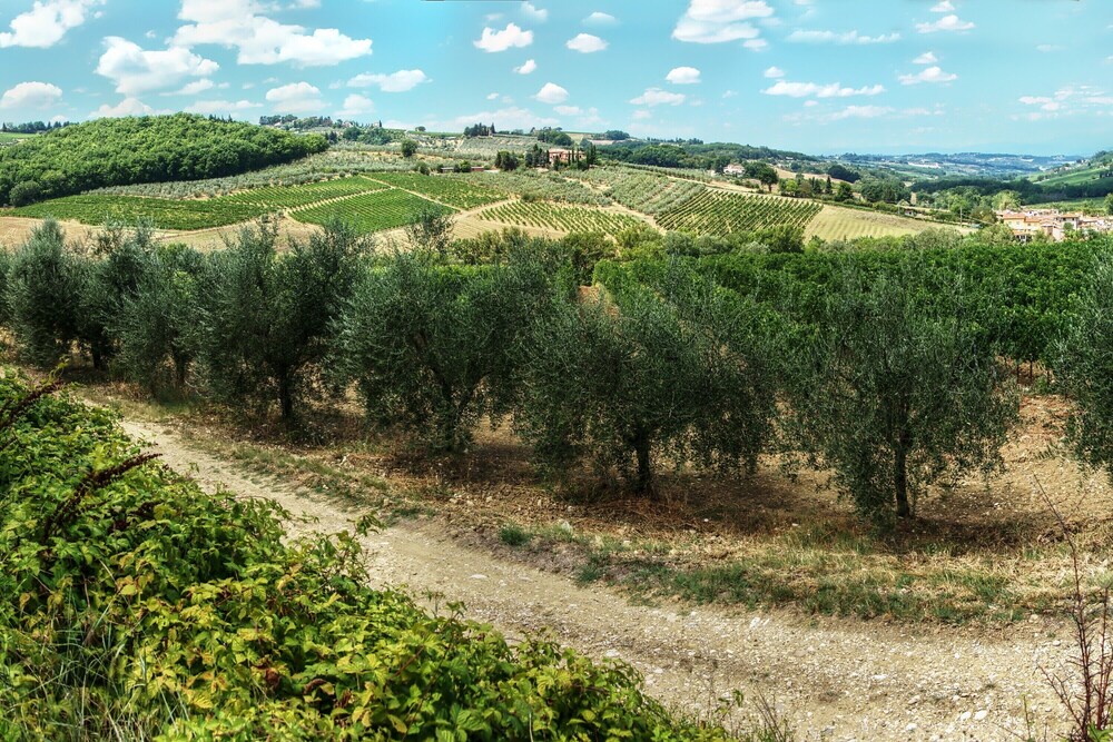 Chianti Wine Site Apt Private Balcony