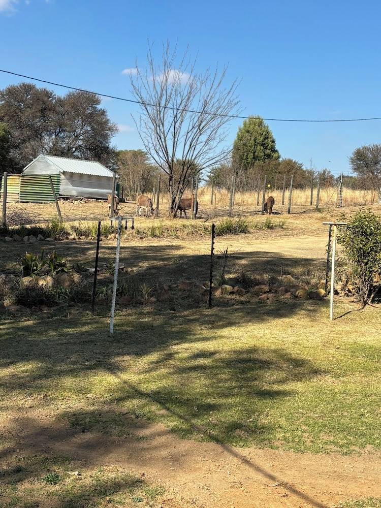 Forest View Self Catering