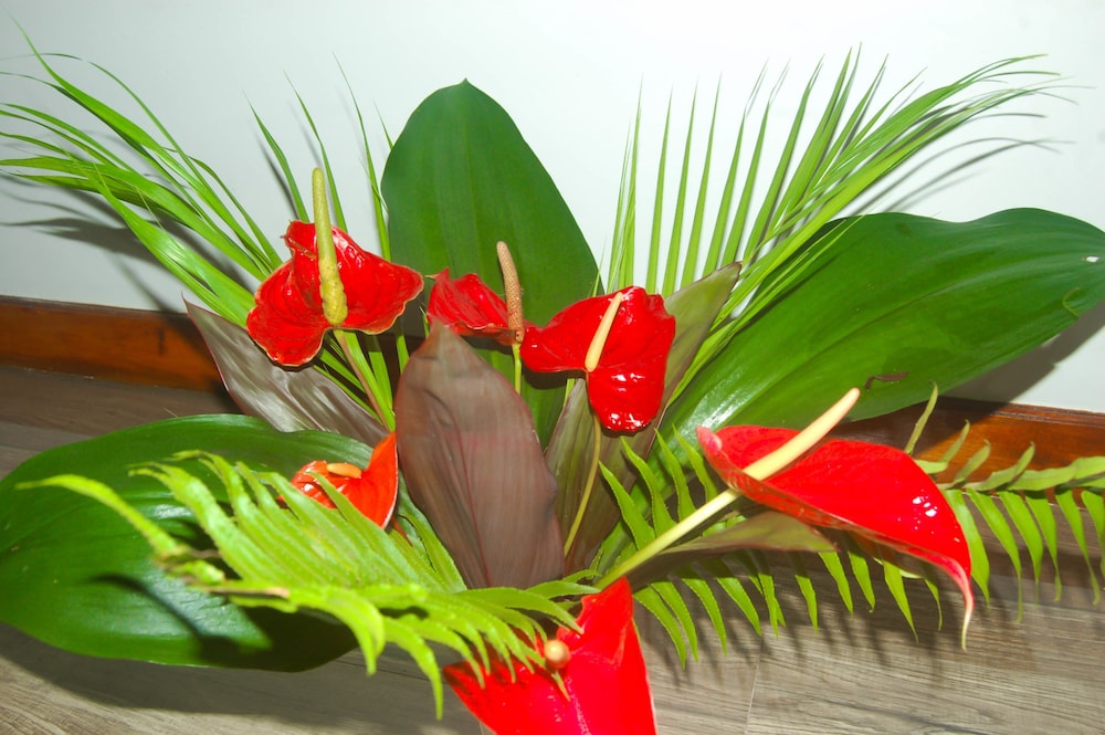 Green View Home Stay
