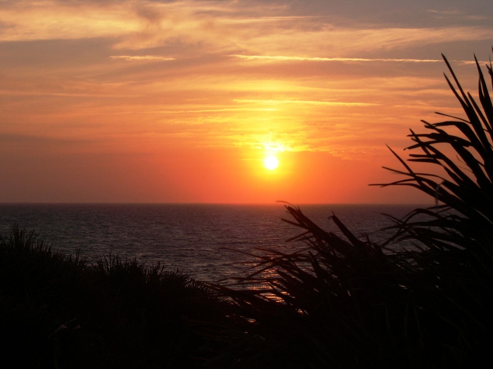 Photo 45