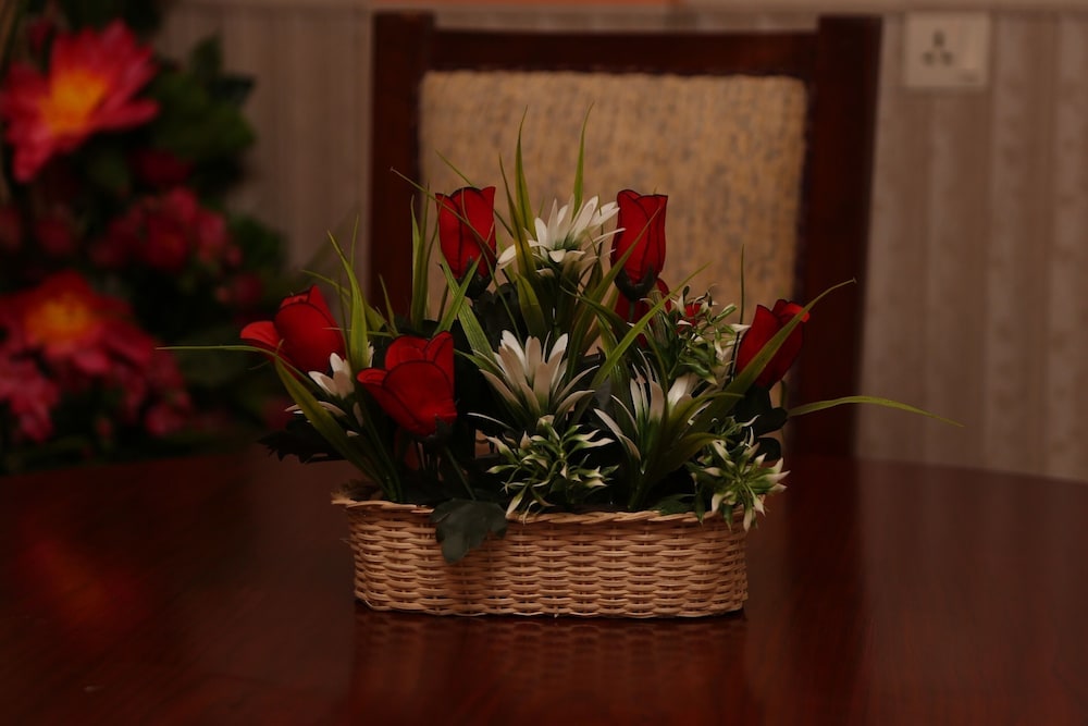Photo 48