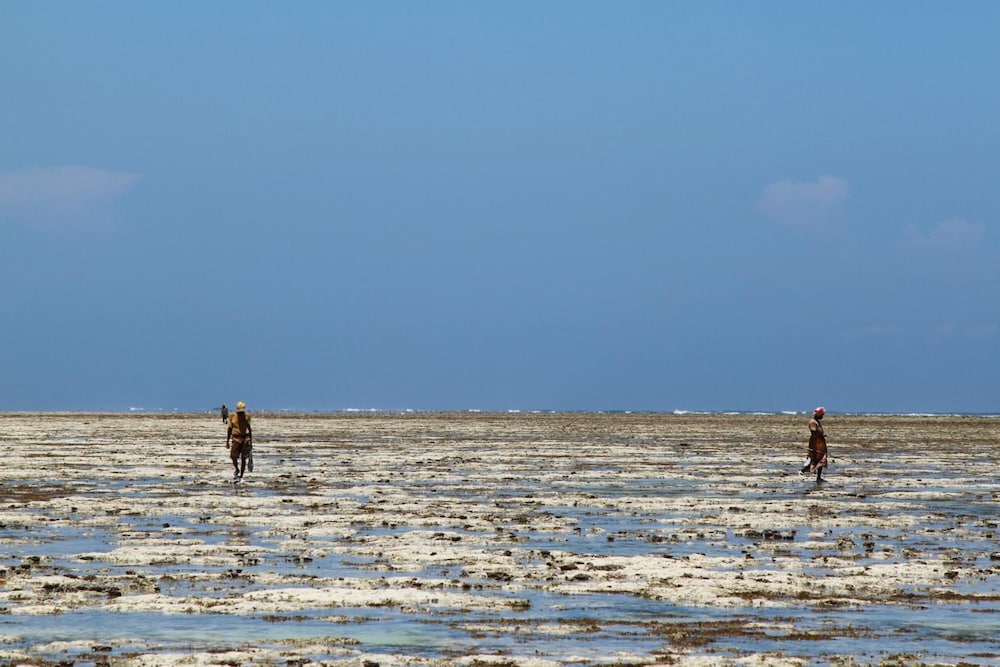 Ujamaa Beach Resort Zanzibar