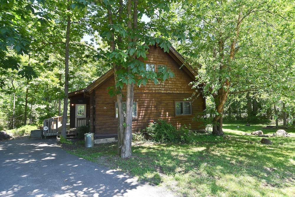 Lazy Bear Retreat - Classic Cabin! view 3