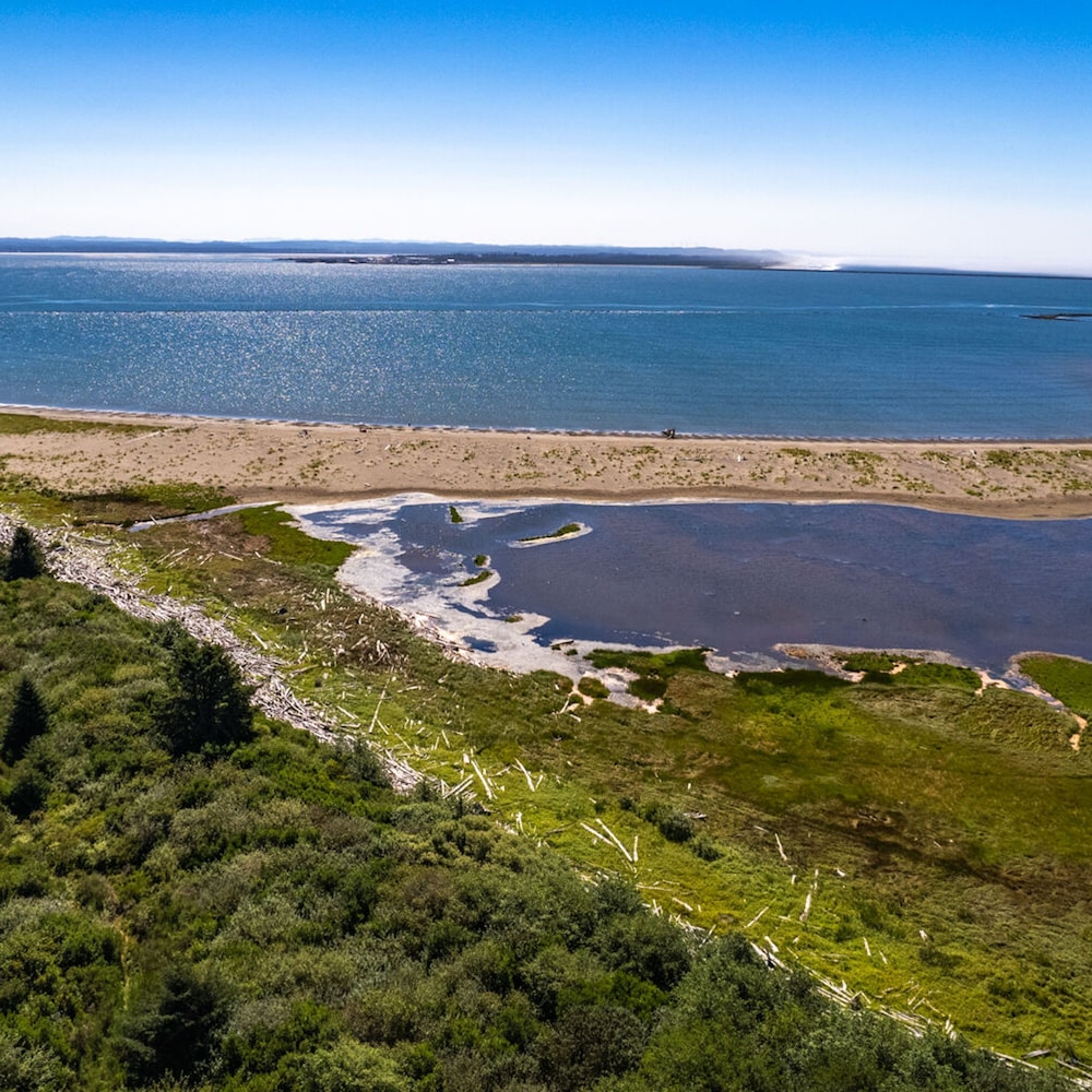 Dune Buggy Condo in Ocean Shores