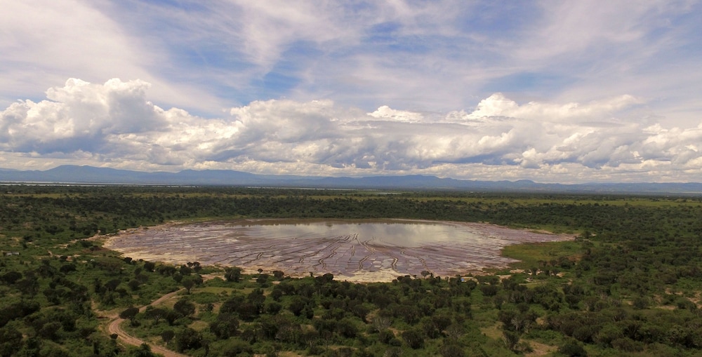 Kasenyi Safari Camp