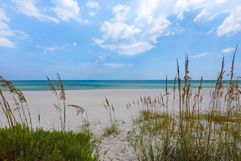 Golden Sands