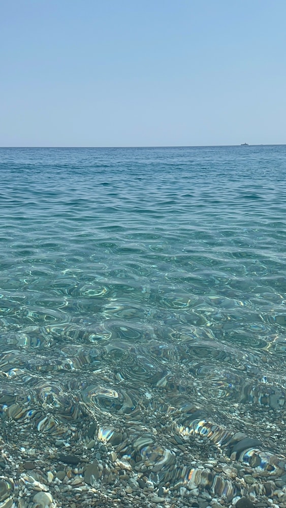 I Puritani on the beach