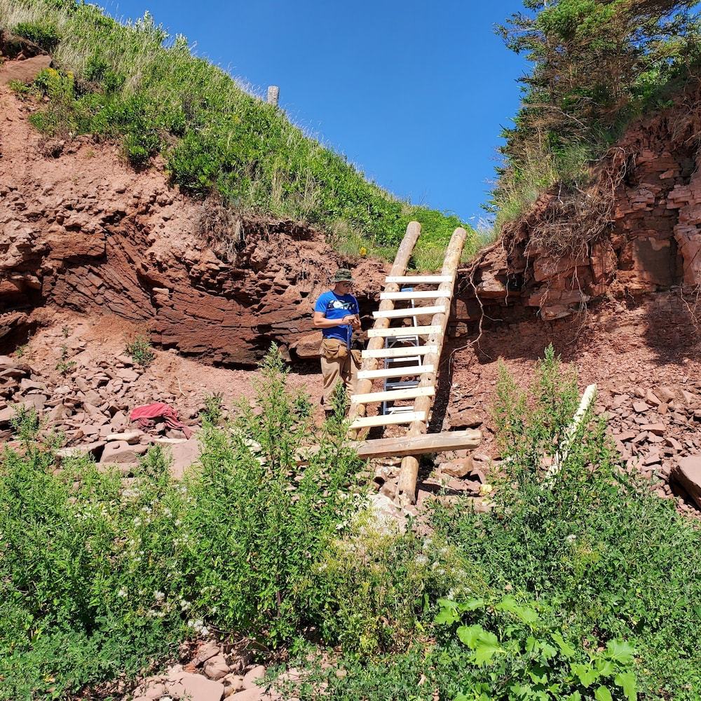 The Cliffside Inn