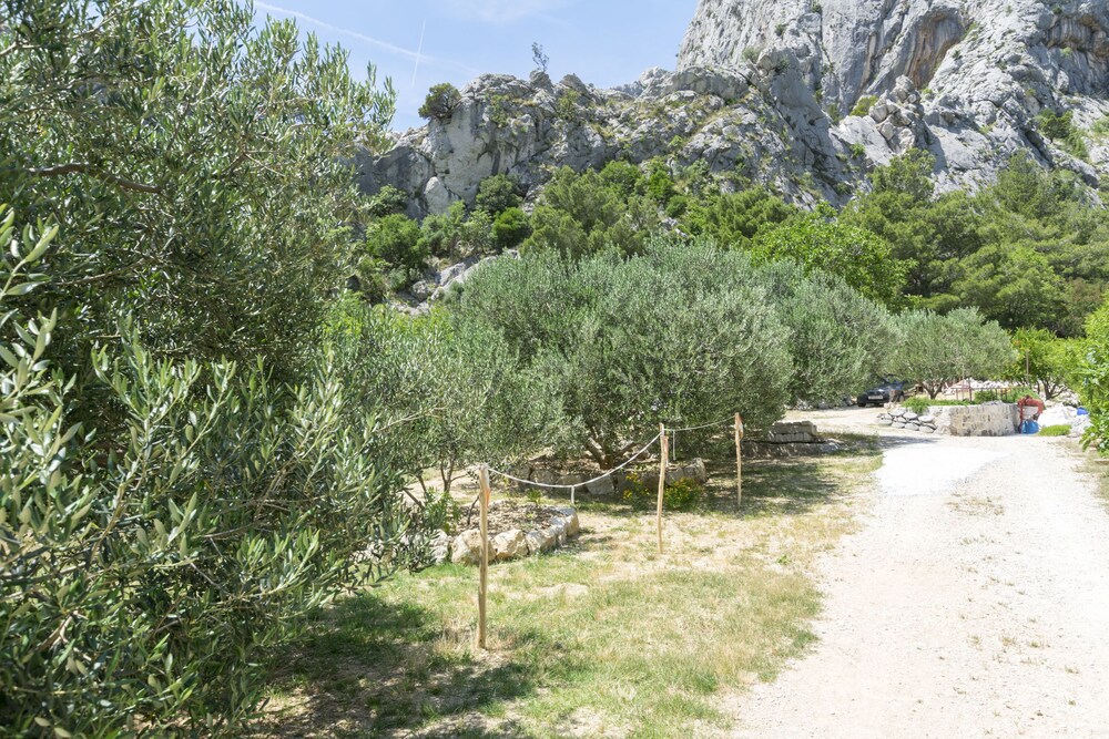 Photo 27