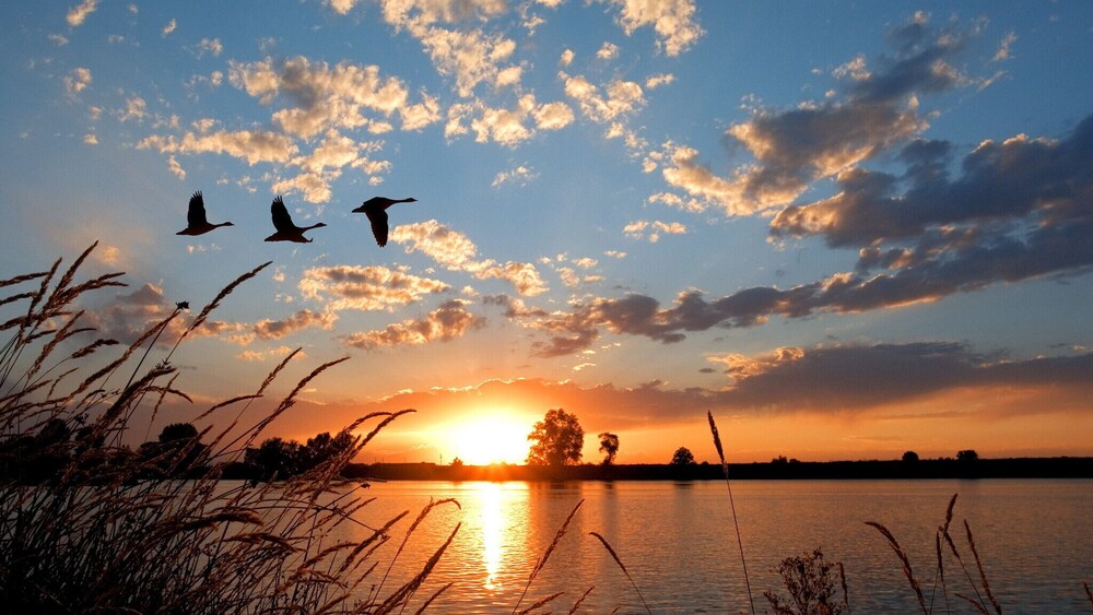 Dormio Resort Medemblik