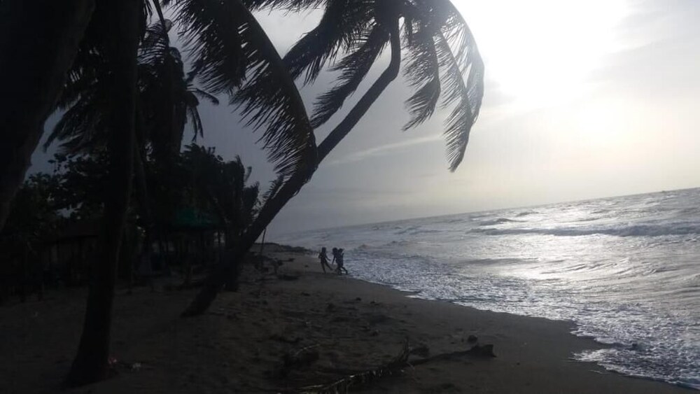 Photo 43