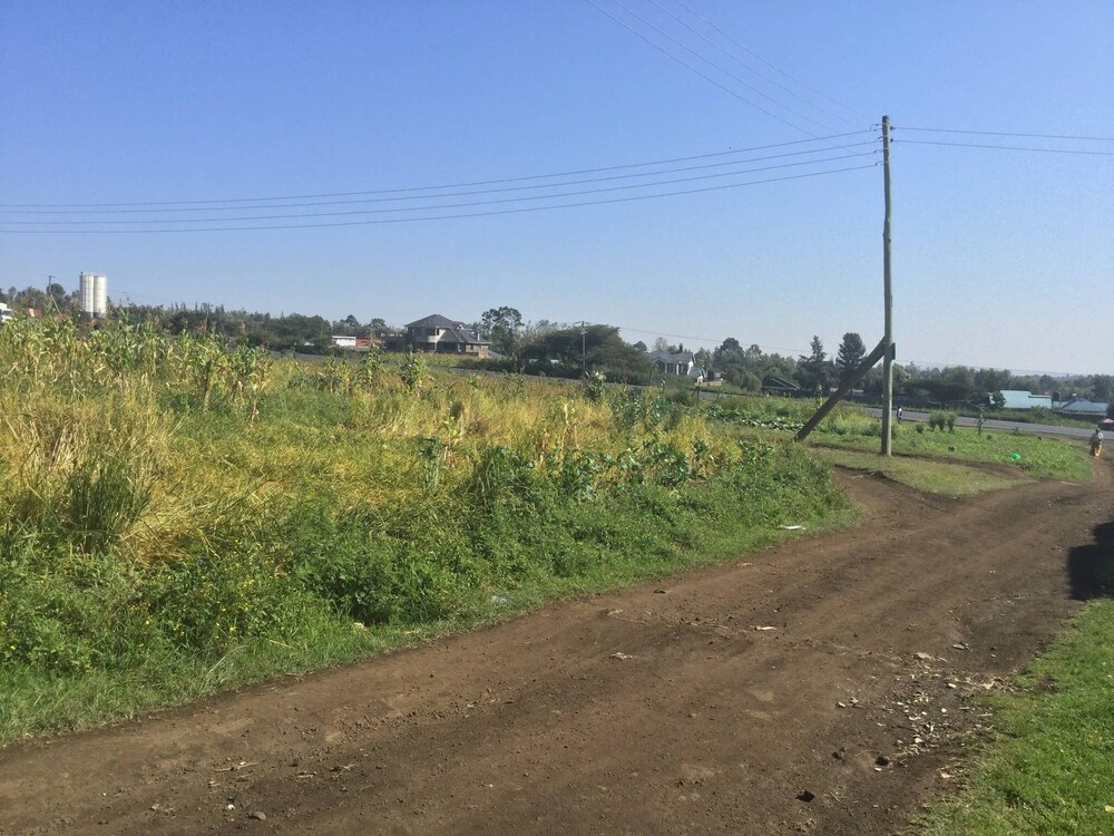Photo 26