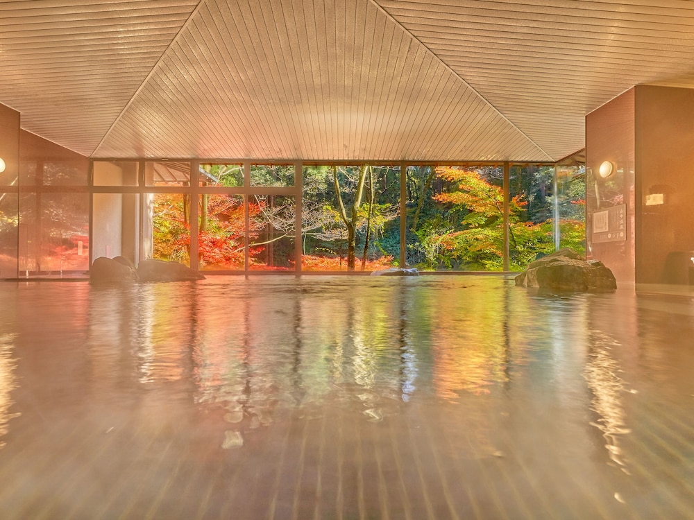 Ooedo Onsen Monogatari Premium Yoshinoya Irokuen
