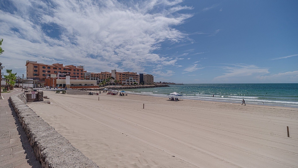 Las Gaviotas LG 436