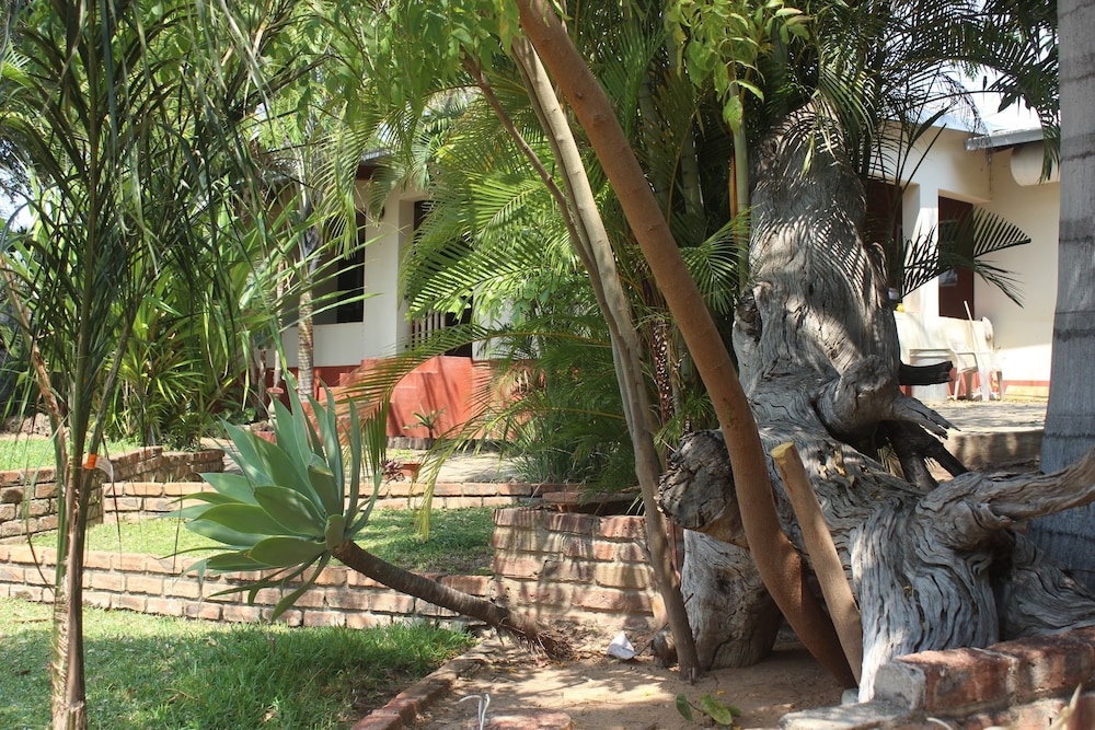 Photo 21