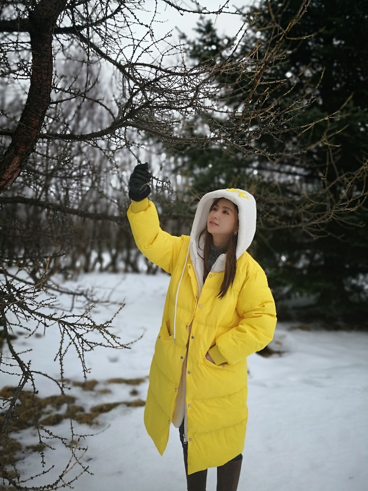 Hotel Iceland Igloo Village - Image 1