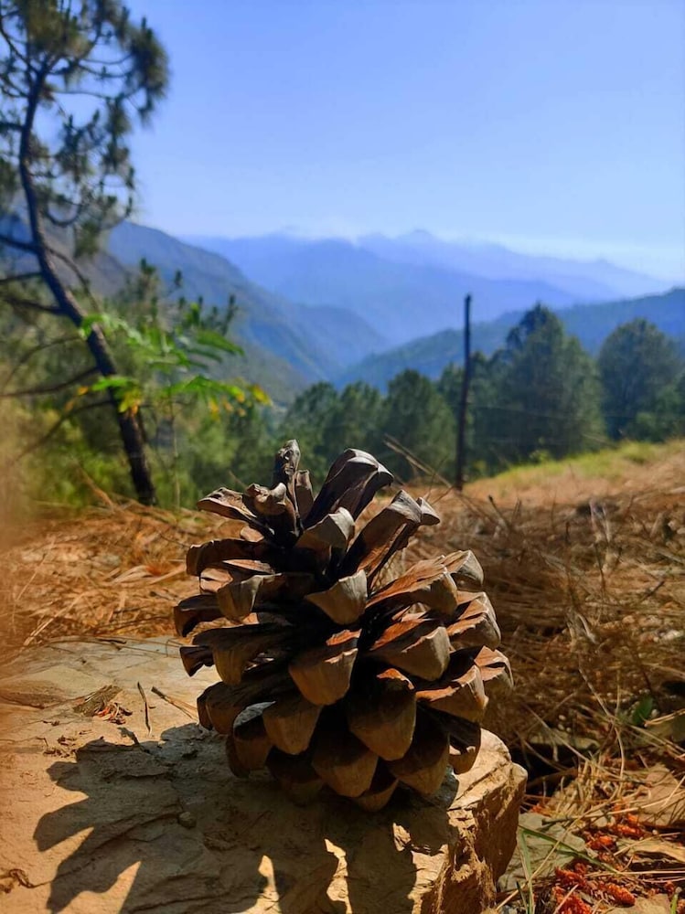 Jaseelo Camps near Tehri Lake