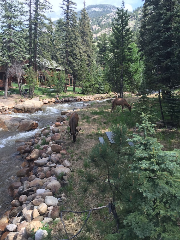 Estes Park Condos - Property Image 241