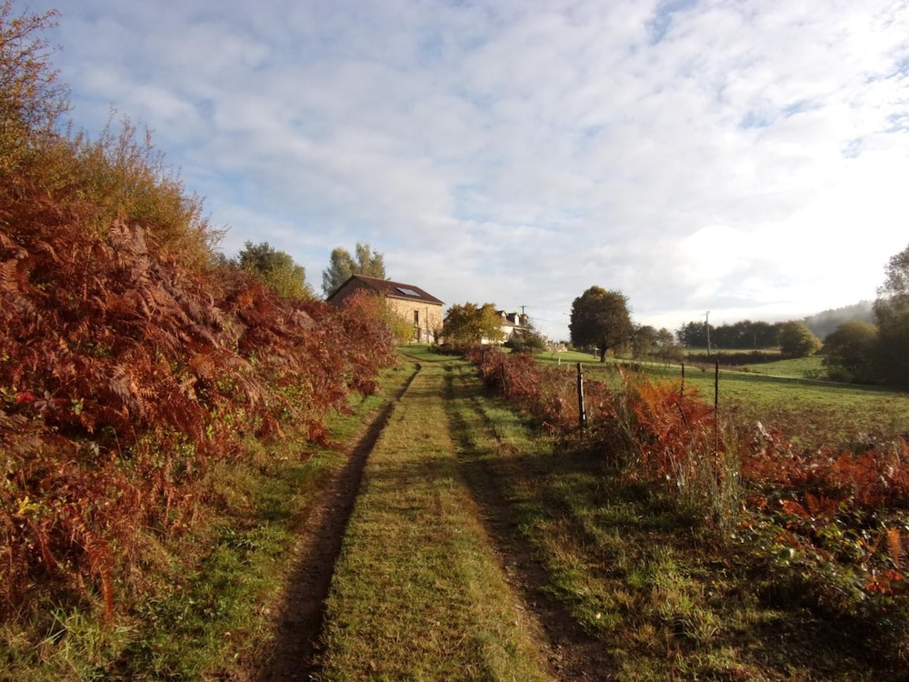 Photo 11